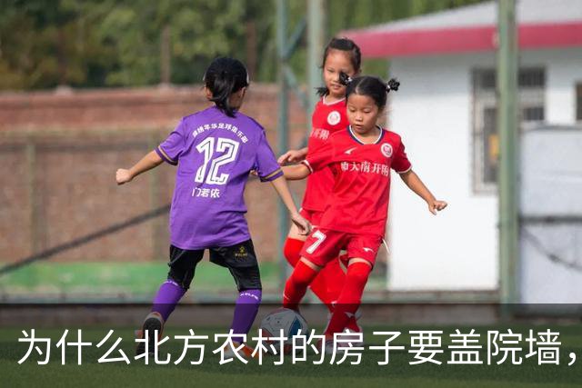 为什么北方农村的房子要盖院墙，南方农村的房子敞开？原因有四