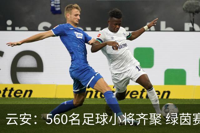 云安：560名足球小将齐聚 绿茵赛场逐梦争锋