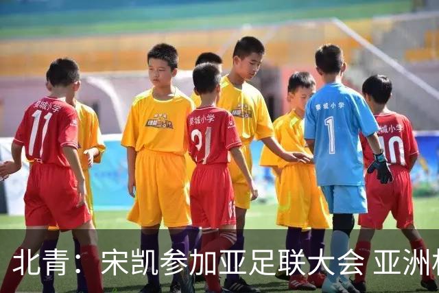 北青：宋凯参加亚足联大会 亚洲杯不存在易地举办可能