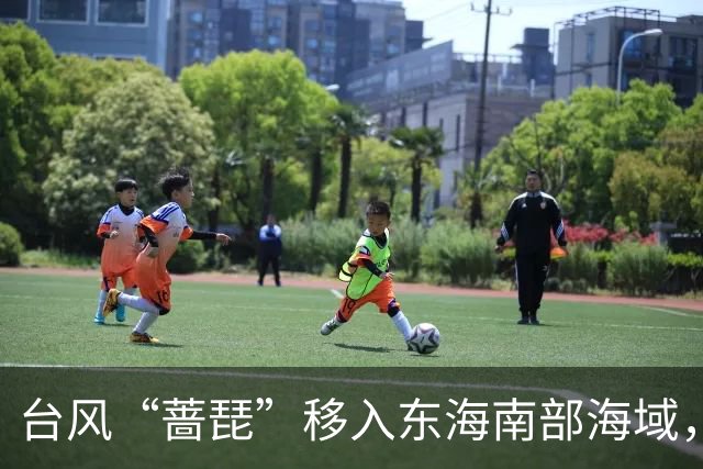 台风“蔷琵”移入东海南部海域，4地防汛防台风四级应急响应持续