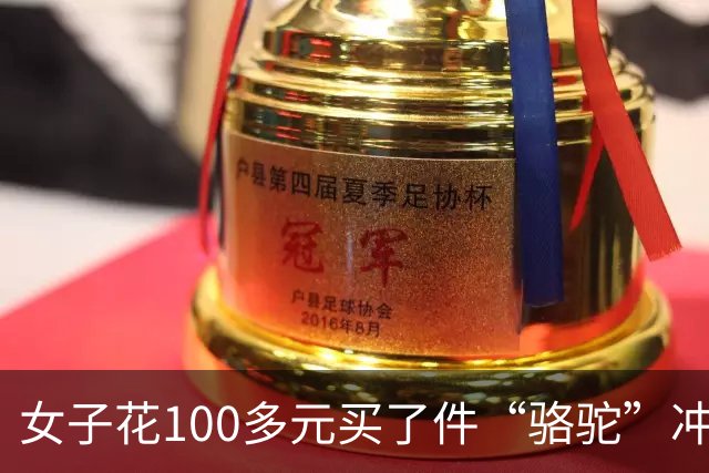 女子花100多元买了件“骆驼”冲锋衣，收到货一看，logo竟是一头咧着嘴笑的驴……有人质疑擦边，商家：我有注册商标