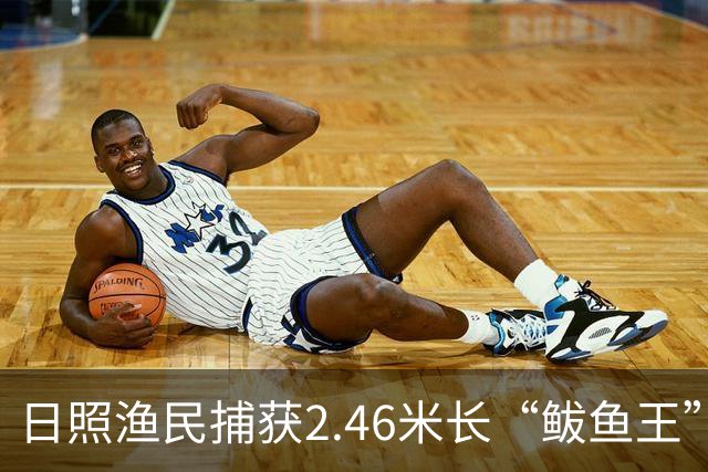 日照渔民捕获2.46米长“鲅鱼王”，重达268斤，当地一水饺厂老板花数万元买下：原想做成鲅鱼水饺，改了主意想把它做成标本