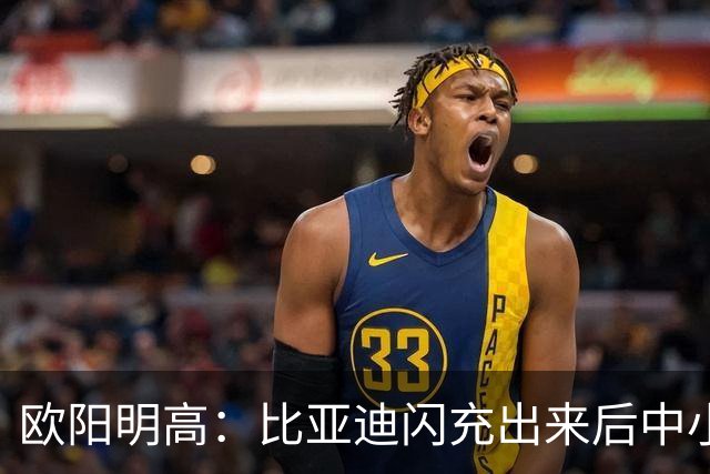 欧阳明高：比亚迪闪充出来后中小厂家、电池厂很焦虑 因为闪充投资太大